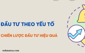 CHIẾN LƯỢC ĐẦU TƯ HIỆU QUẢ (1)