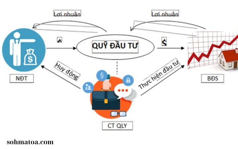 PHÂN TÍCH VÀ ĐÁNH GIÁ QUỸ ĐẦU TƯ (1)