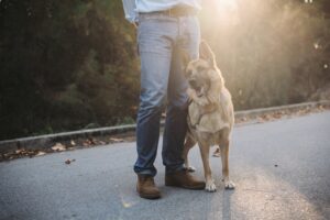 Blood on the Leash