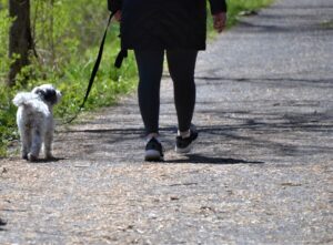 No Leash, No Limits