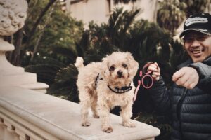 The Hidden Leash