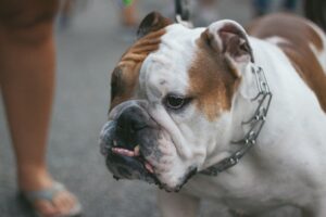 The Invisible Leash