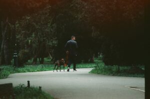 The Leash You Choose