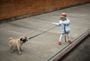 The Velvet Leash